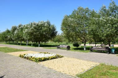 Yazın bir sürü çiçekle park et.