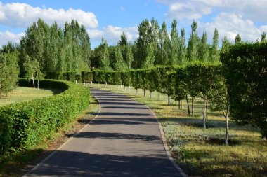 Akşam güneş tarafından park yolundaki yaktı