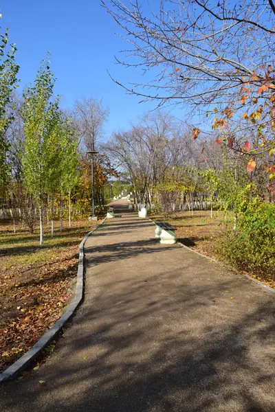 Ein sonniger Weg im Park im Herbst — Stockfoto