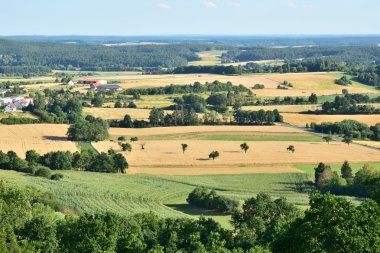Ağaçlı ve tarlalı güzel kırsal alan