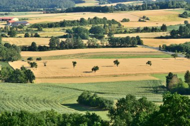Yeşil tarlalı hava manzarası, önünde bir yol, kırsal bir alan olan kırsal alan.