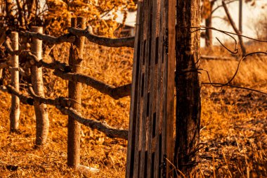 Sonbaharda terk edilmiş bir köyde eski kırık ahşap çitler. Kırsalda çocukluk için nostalji.