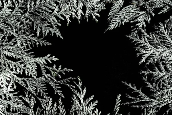 Різдвяна Рамка Композиція Срібними Гілками Туї Чорному Тлі Вид Зверху Ліцензійні Стокові Зображення