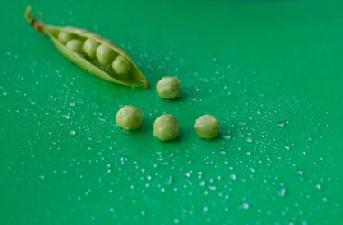 Bezelye kabuğu çatladı ve bezelye kabuğundan dökülen yeşil bir arka planda çiy damlalarının içinde yatıyor. Yüksek kalite fotoğraf