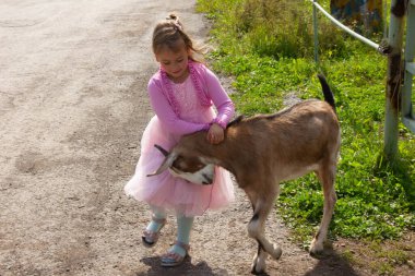 Pembe elbiseli küçük çekici kız keçiye sarılıyor.
