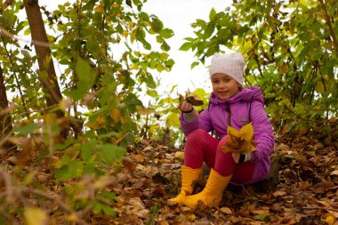 Sonbaharda mor ceketli ve beyaz şapkalı güzel bir kızın portresi. Sarı yaprakları tutar ve köpüğe oturur.