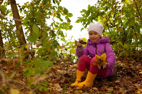 Retrato de una chica bonita con una chaqueta púrpura y sombrero blanco en el otoño. Ella sostiene hojas amarillas y se sienta en la espuma Fotos De Stock