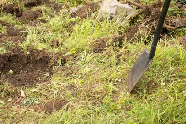 Muž vykope díru kolem trávy — Stock fotografie