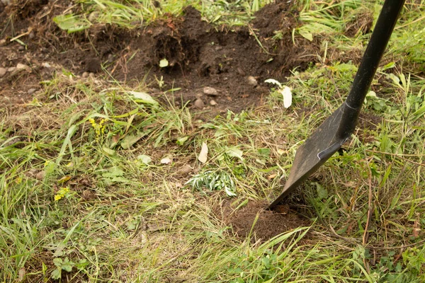 Man digs a hole around the grass Fotos De Stock Sin Royalties Gratis