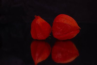 Siyah arka planda iki kutu fizsali yansıtılır. Yüksek kalite fotoğraf