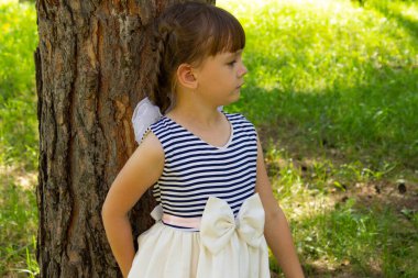 Çam ormanındaki bir ağacın gövdesinin yanında elbiseli güzel bir kız duruyor. Yüksek kalite fotoğraf