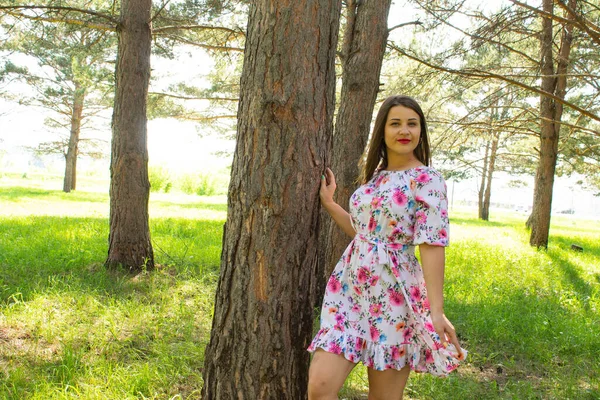 Kısa saçlı güzel seksi kız çam ormanında bir ağacın yanında duruyor. Yüksek kalite fotoğraf
