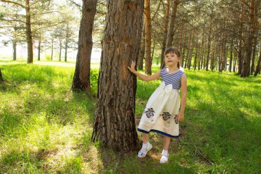 Çam ormanındaki bir ağacın gövdesinin yanında elbiseli güzel bir kız duruyor. Yüksek kalite fotoğraf