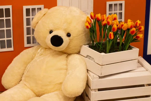 Teddy Beige Beer Zit Naast Houten Manden Met Tulpen Hoge — Stockfoto