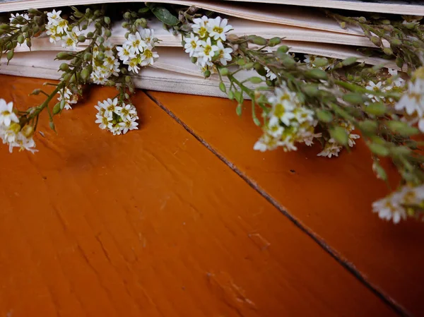 Blumen Liegen Buch Das Buch Liegt Auf Den Braunen Brettern — Stockfoto