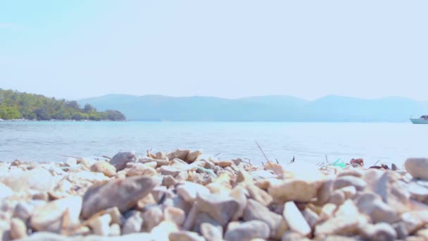 비밀만에 자연과 둘러싸여 해안선 상공을 드론이 내려다 — 비디오