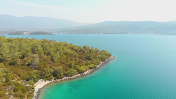 Vista Aérea Drone Sobre Litoral Cercado Por Natureza Verde Águas — Vídeo de Stock