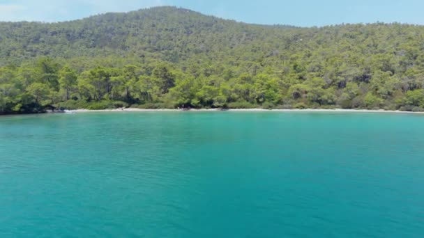 Vista Aérea Del Dron Sobre Costa Rodeada Naturaleza Verde Aguas — Vídeo de stock