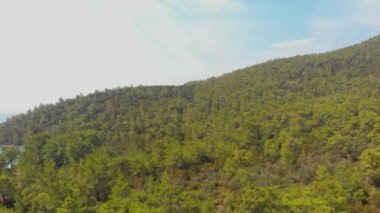 Yeşil doğa ve Ege deniz sularıyla çevrili kıyı şeridi üzerinde Akbuk, Didim, Türkiye 'deki gizli bir körfezdeki hava aracı görüntüsü
