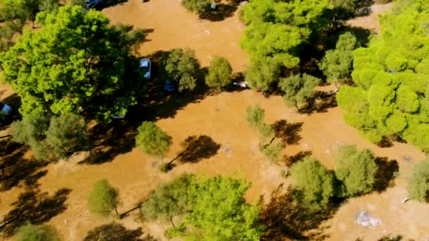 Türkiye Nin Ege Tarafındaki Didim Kentinde Yaz Mevsiminde Ağaçların Tepesinden — Stok video