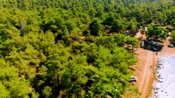 木の上からの空中の景色 ディムディムの夏の自然林の背景 トルコのエーゲ海側 — ストック動画