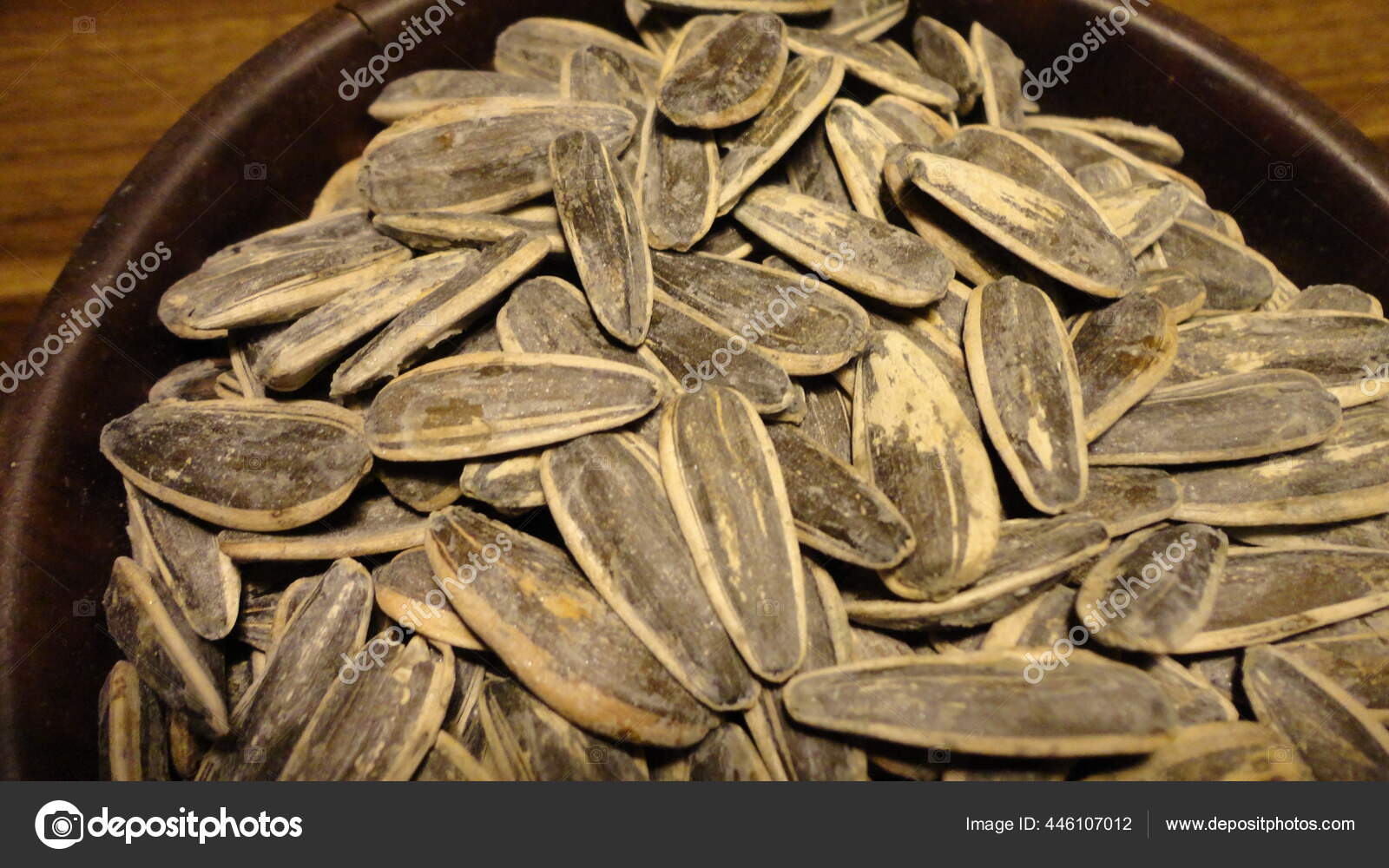 Graine Tournesol Noire Biologique Graines Tournesol Salees Gros Plan Graines Image Libre De Droit Par Alohadunya C Graine Tournesol Noire Biologique Graines Tournesol Salees Gros Plan Graines Image Libre De Droit Par Alohadunya C