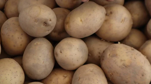 Unpeeled Raw Potatoes Background Vegetable Market Turkey — Stock Photo, Image