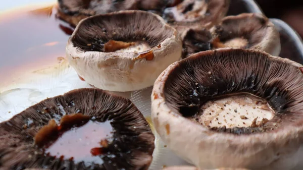 Funghi Alla Griglia Con Formaggio Pomodori Melanzane Sulla Griglia Carbone — Foto Stock