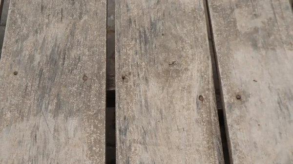 Natural wooden pier texture backgroud. Wooden pier plank background. Warm color of wooden panels on the floor.