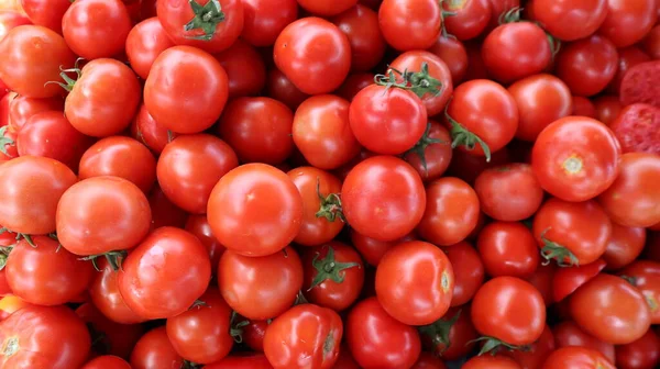 Fundo Tomates Cereja Orgânicos Tomates Vermelhos Pequenos Suculentos Close — Fotografia de Stock
