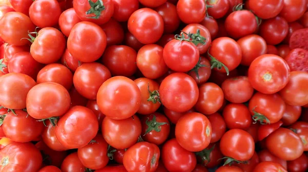 Sullo Sfondo Pomodorini Biologici Pomodori Rossi Succosi Primo Piano — Foto Stock