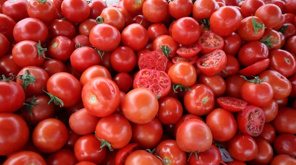 Fondo Tomates Cherry Ecológicos Juicy Little Red Tomatoes Close —  Fotos de Stock