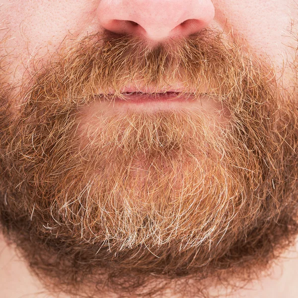 Red beard and mustache man. — Stock Photo, Image