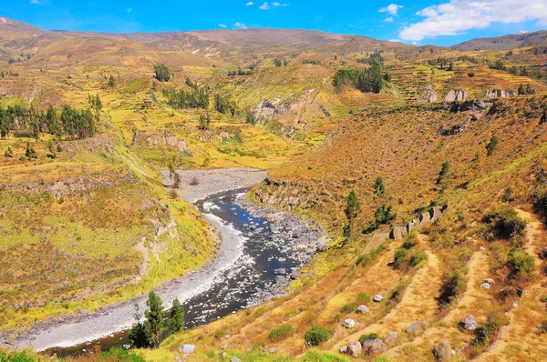 Colca canyon, peru, Jižní Amerika. — Stock fotografie