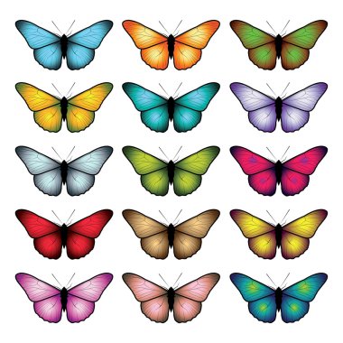 Beyaz arka planda izole edilmiş kelebekler.. 