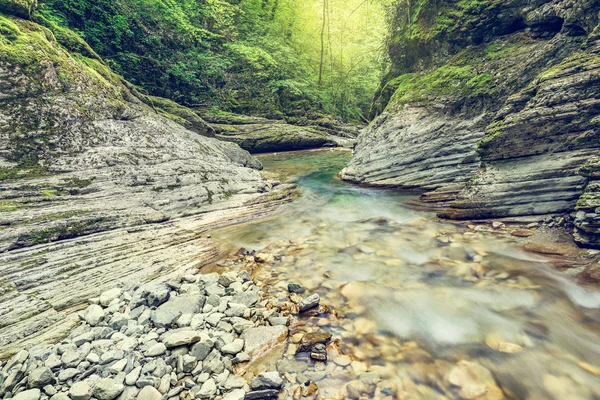 Creek with pure water. — Stock Photo, Image