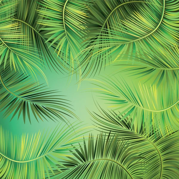 Palm tree branches on green background. — Stock Vector