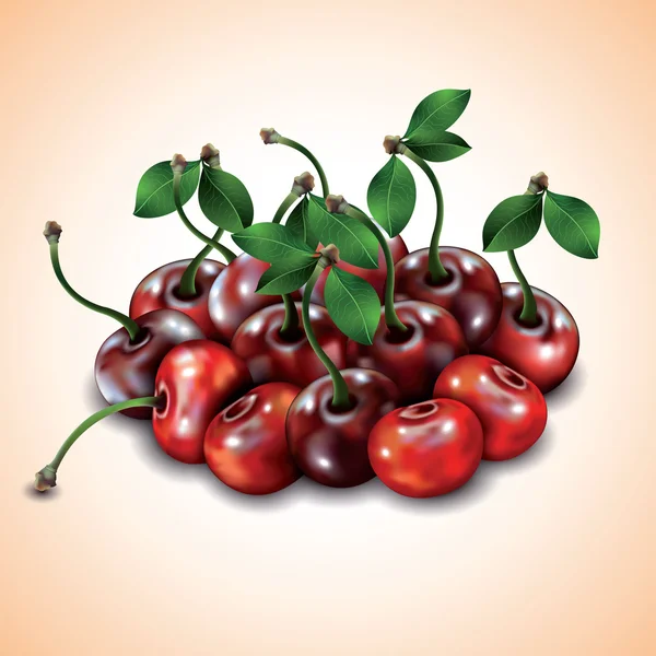 Many cherries on colorful background. — Stock Vector