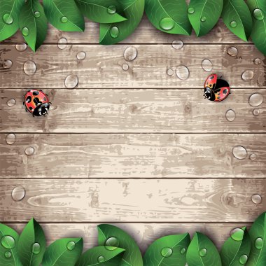 Ladybugs ve ahşap doku arka plan yapraklarda. 