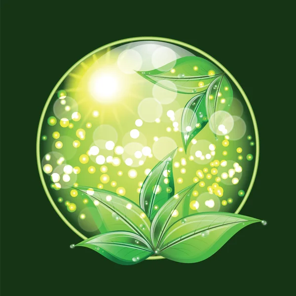 World environment day sign on green background. — Stock Vector