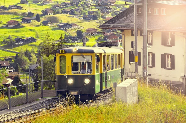 Il treno passeggeri arriva da Kleine Scheidegg al tramonto . — Foto Stock