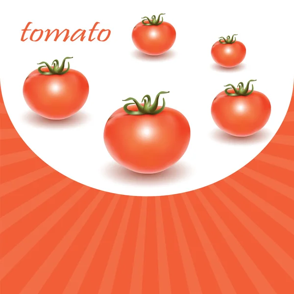 Rote frische Tomaten. — Stockvektor