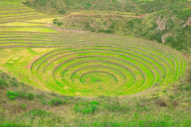 Moray, antik Inca dairesel teraslar.
