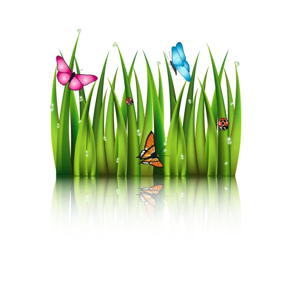 Mariposas voladoras junto a la hierba . — Vector de stock