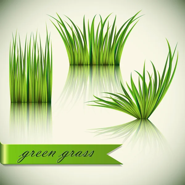 Fragments of the green grass. — Stock Vector