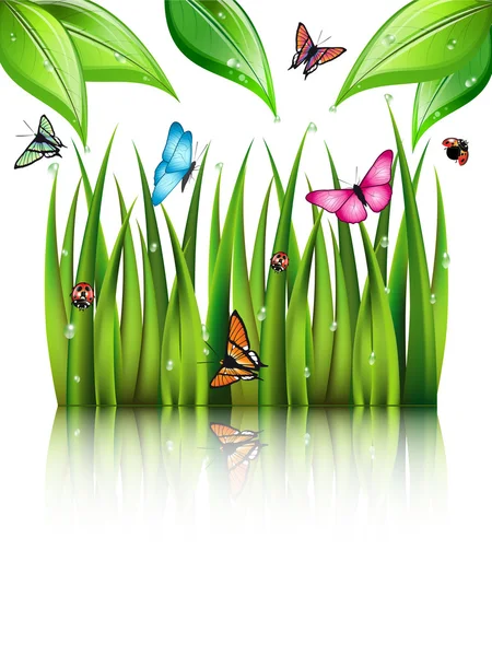 Mariposas voladoras junto a la hierba . — Archivo Imágenes Vectoriales