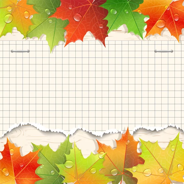 Hoja de papel desgarrado y hojas de arce de otoño . — Vector de stock