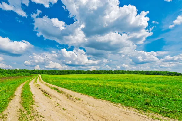 Camino por el campo . —  Fotos de Stock