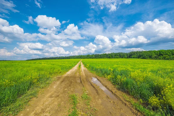 Road av fältet — Stockfoto