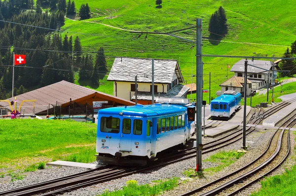 Personenzüge kommen in den Rigi-Bahnhof. — Stockfoto